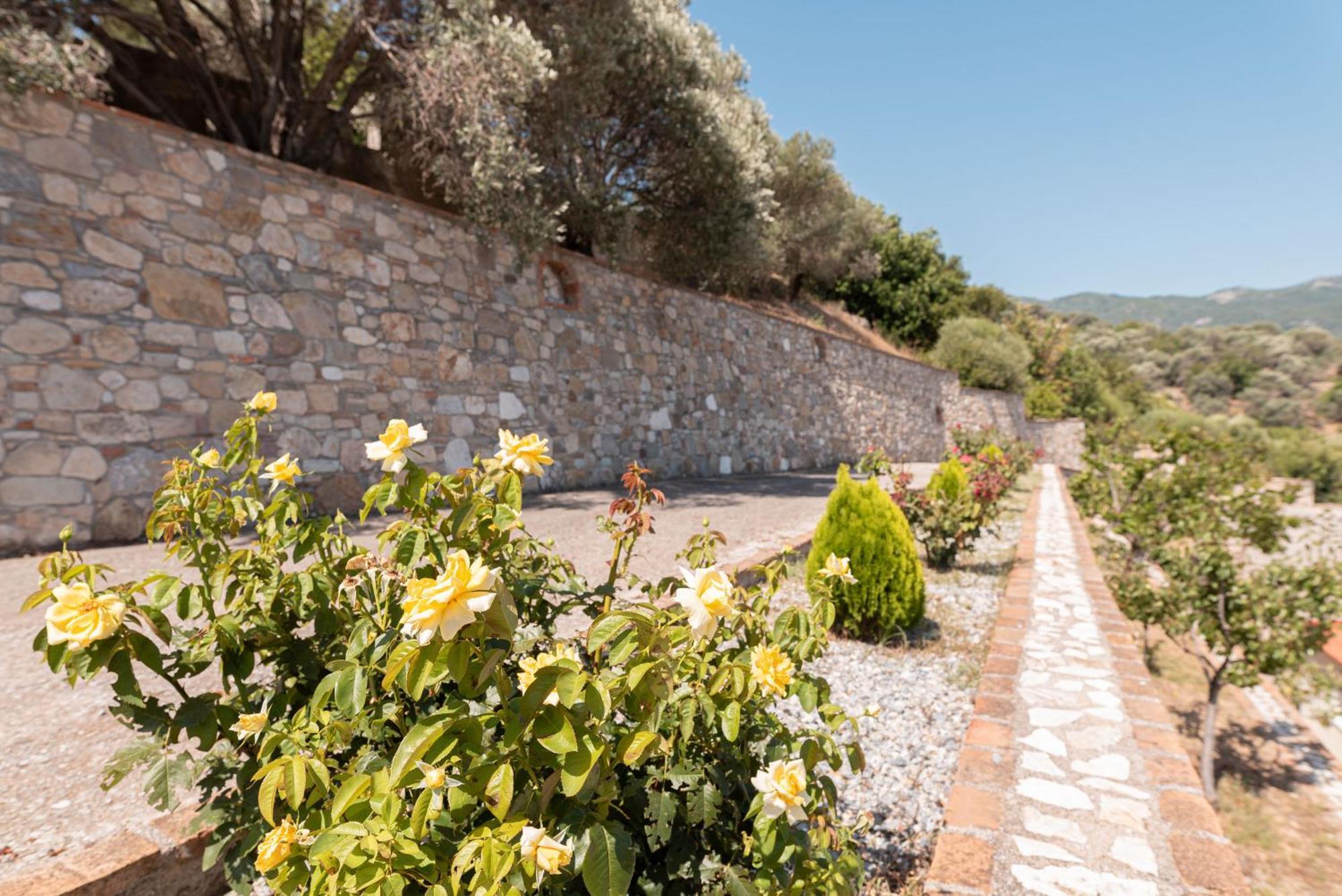 Villa Vicky Pythagoreio  Exterior photo